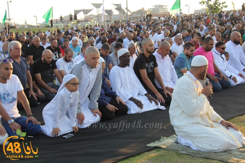 salah 3ed montahzah3 (99).JPG